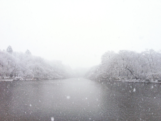 雪の井の頭公園